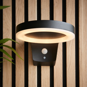Ebro Outdoor Wall Light