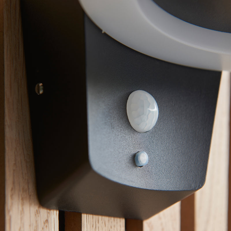Ebro Outdoor Wall Light