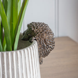 Edwin Hedgehog Pot Hanger - Brown (Pack of 2)