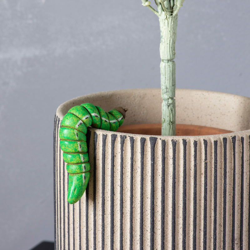 Jackson Caterpillar Pot Hanger (Pack of 2)
