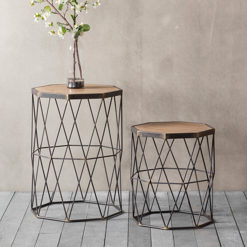 Marshal Light Fir Wood Side Table (Set of 2)